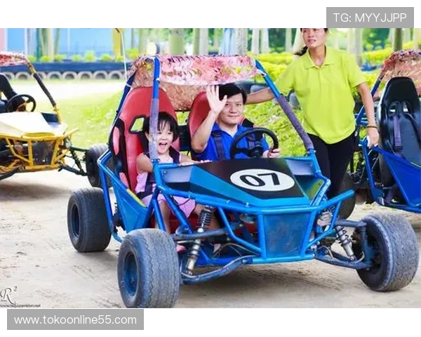 永乐高官网详细攻略大全，提供新手入门、角色培养和副本攻略全方位指导